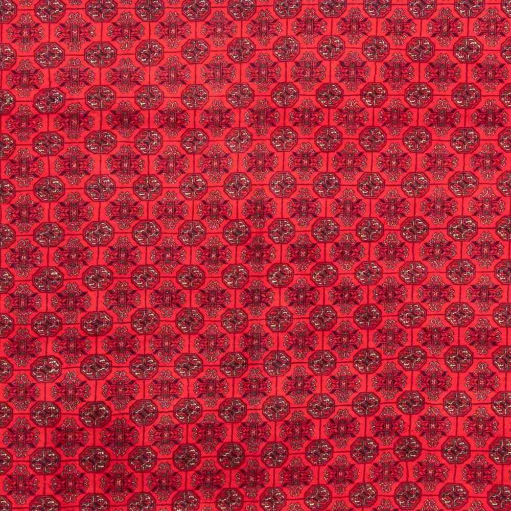 Afghansk teppe - 289 x 200 cm - rød