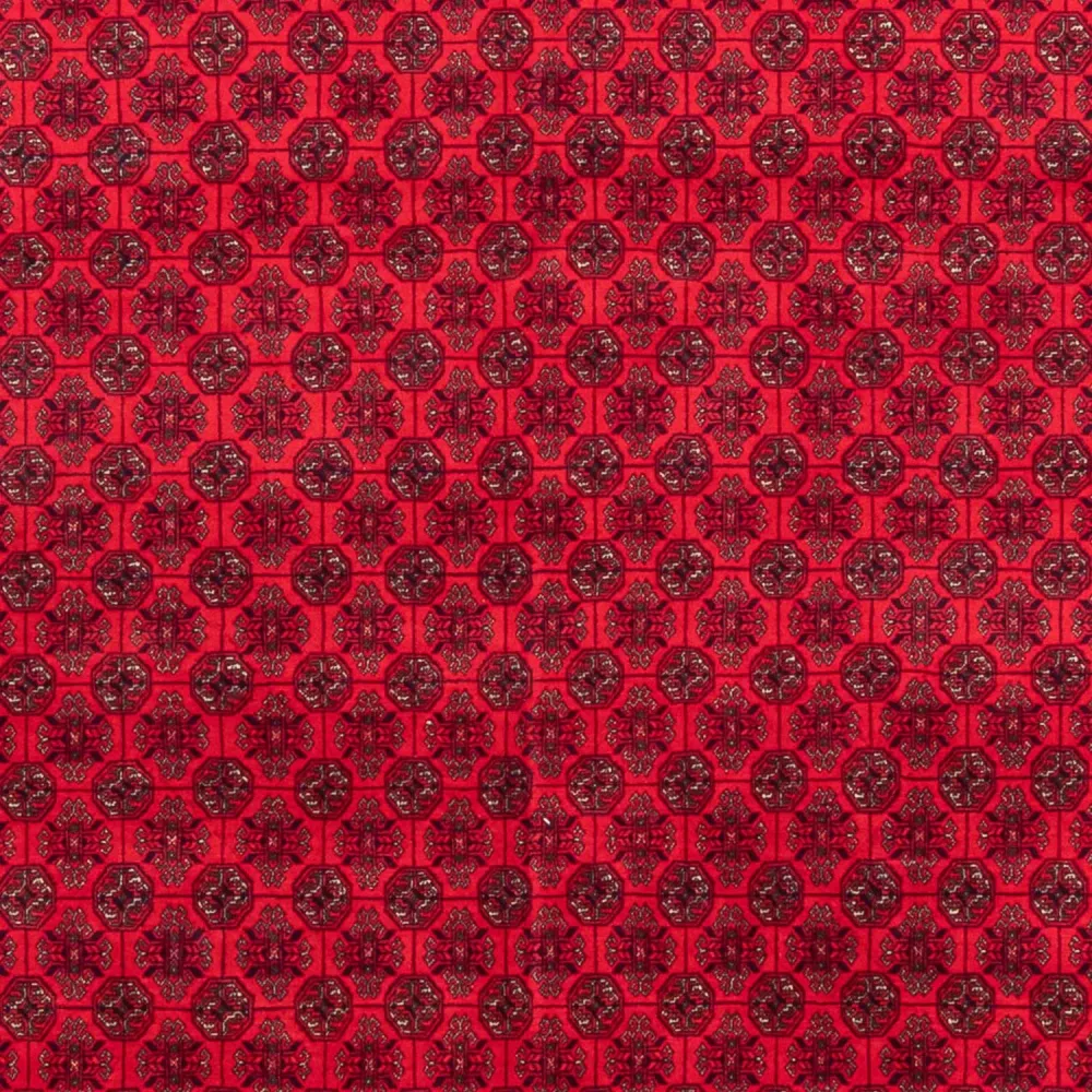 Afghansk teppe - 295 x 194 cm - rød