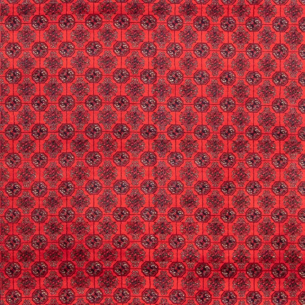 Afghansk teppe - 387 x 298 cm - rød