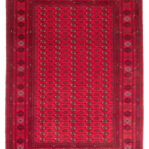 Afghansk teppe - Bukhara - 282 x 200 cm - rød