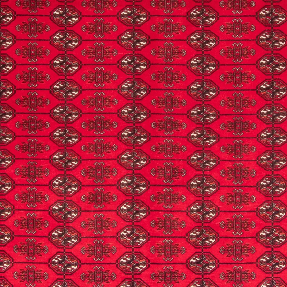 Afghansk teppe - Bukhara - 282 x 200 cm - rød