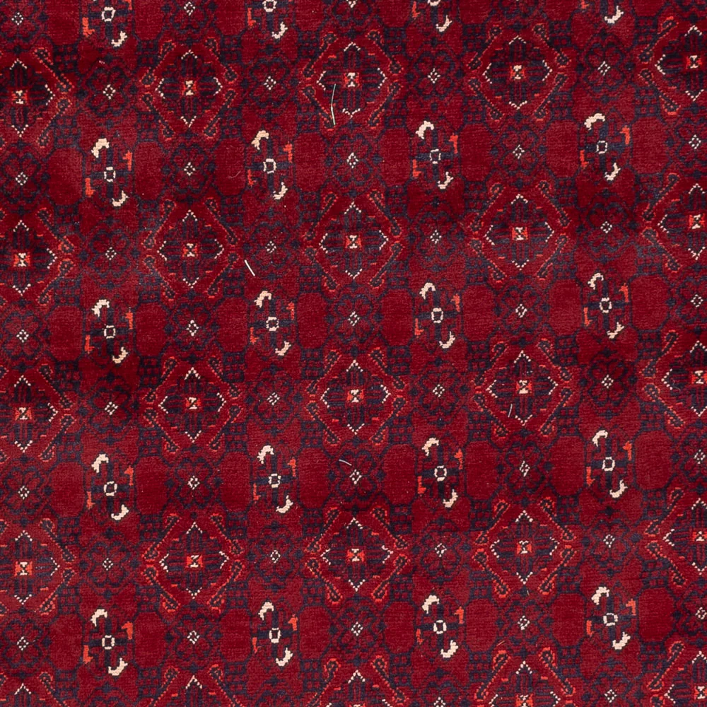 Afghansk teppe - Bukhara - 284 x 195 cm - rød