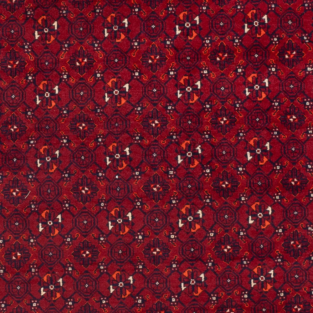 Afghansk teppe - Bukhara - 289 x 208 cm - rød