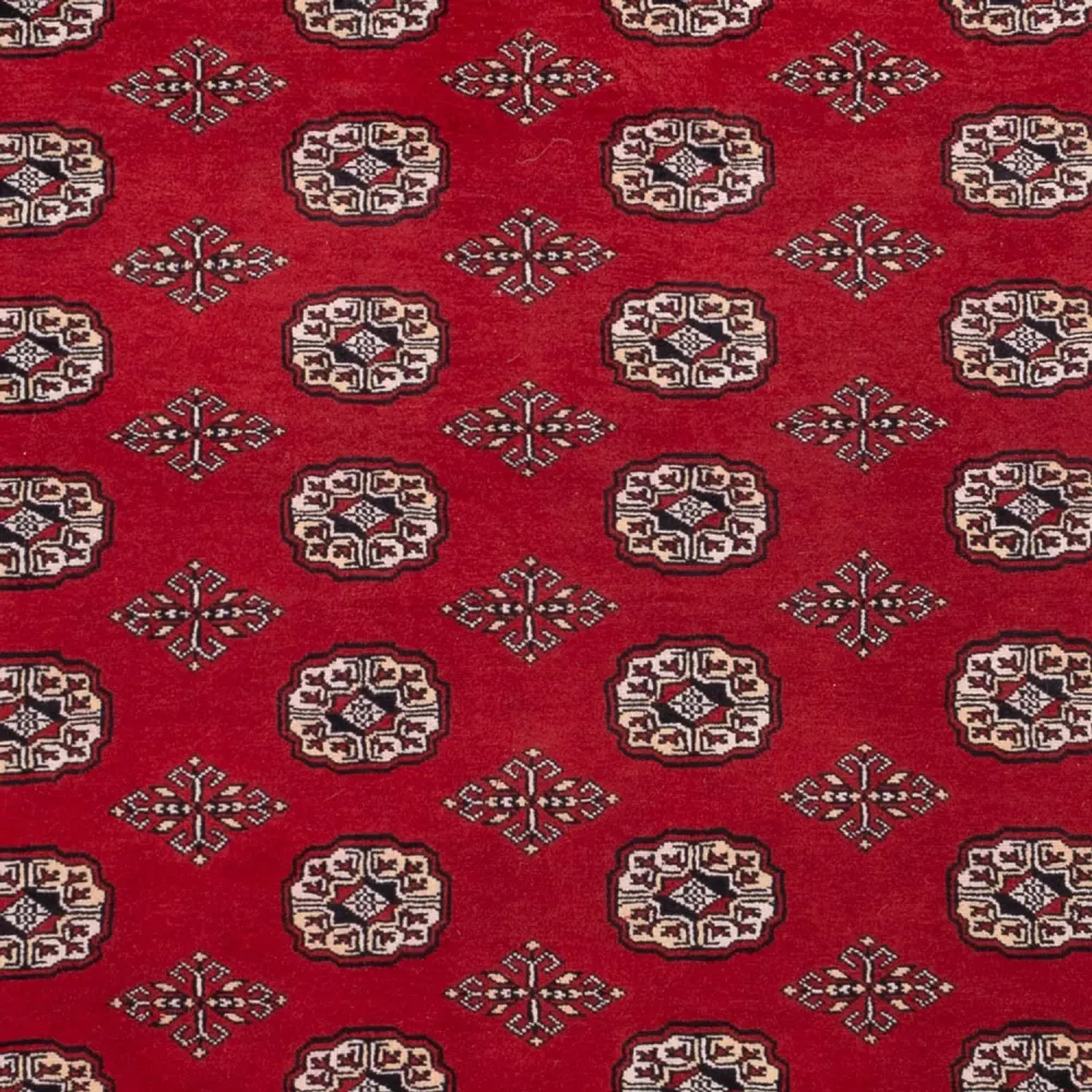 Afghansk teppe - Bukhara - 290 x 200 cm - rød