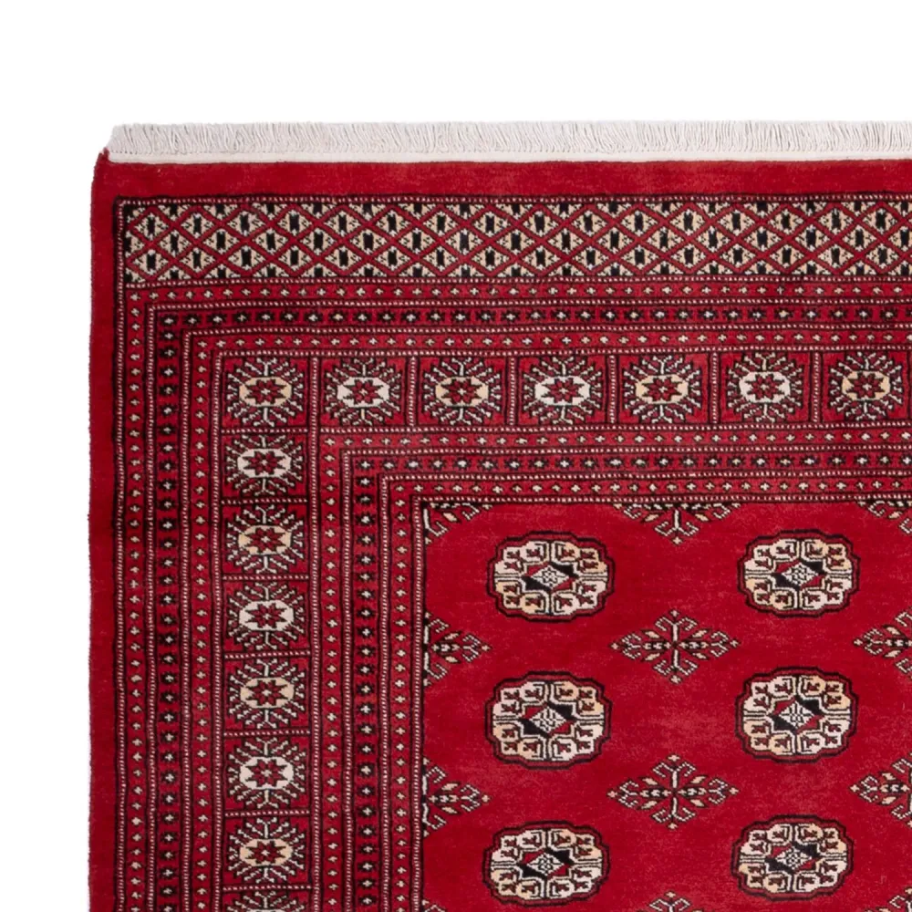 Afghansk teppe - Bukhara - 290 x 200 cm - rød