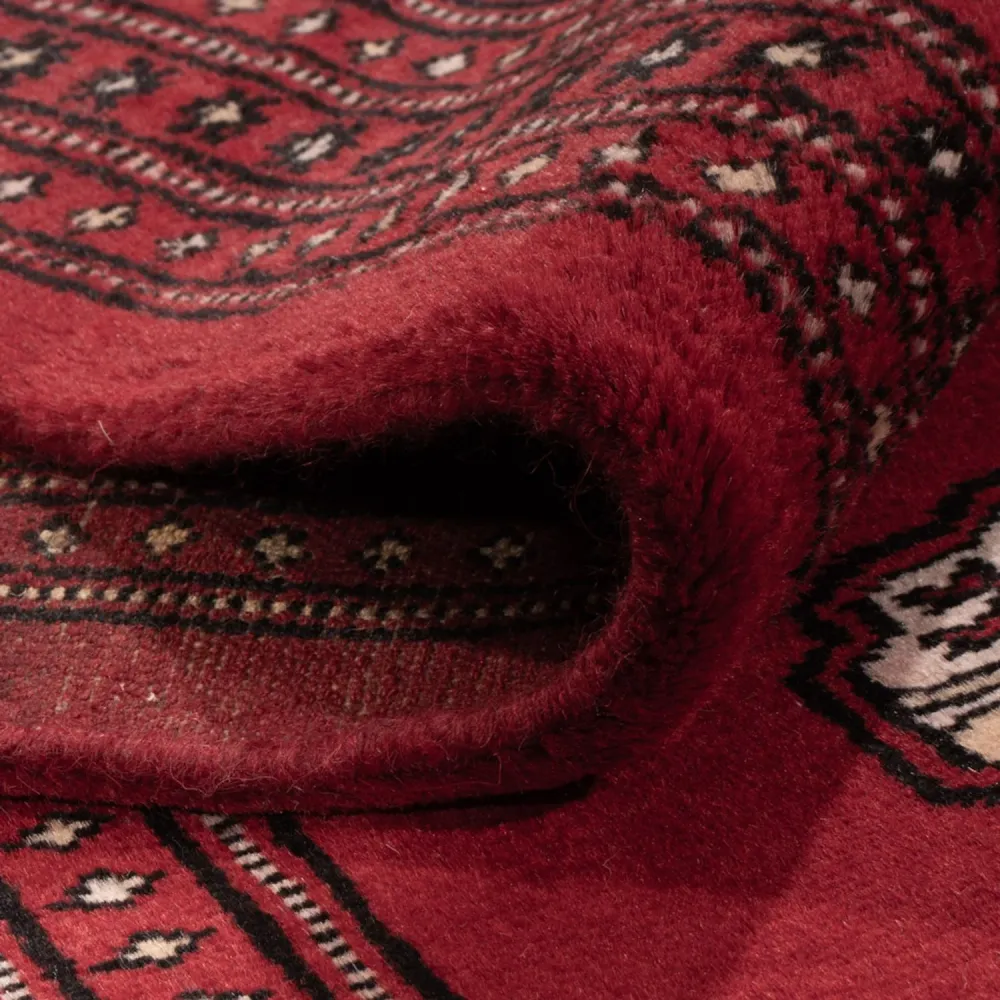 Afghansk teppe - Bukhara - 290 x 200 cm - rød