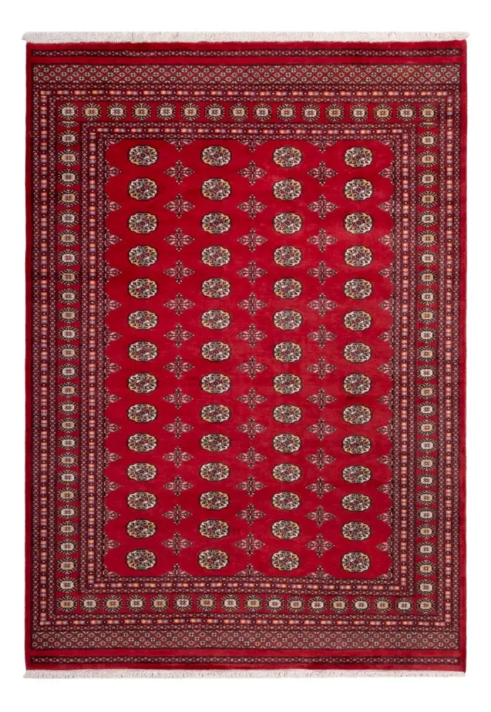 Afghansk teppe - Bukhara - 292 x 206 cm - rød