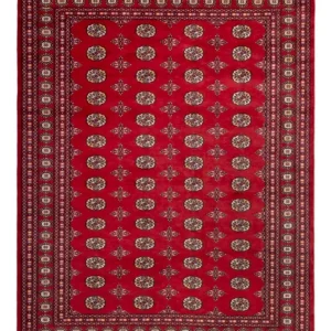 Afghansk teppe - Bukhara - 292 x 206 cm - rød