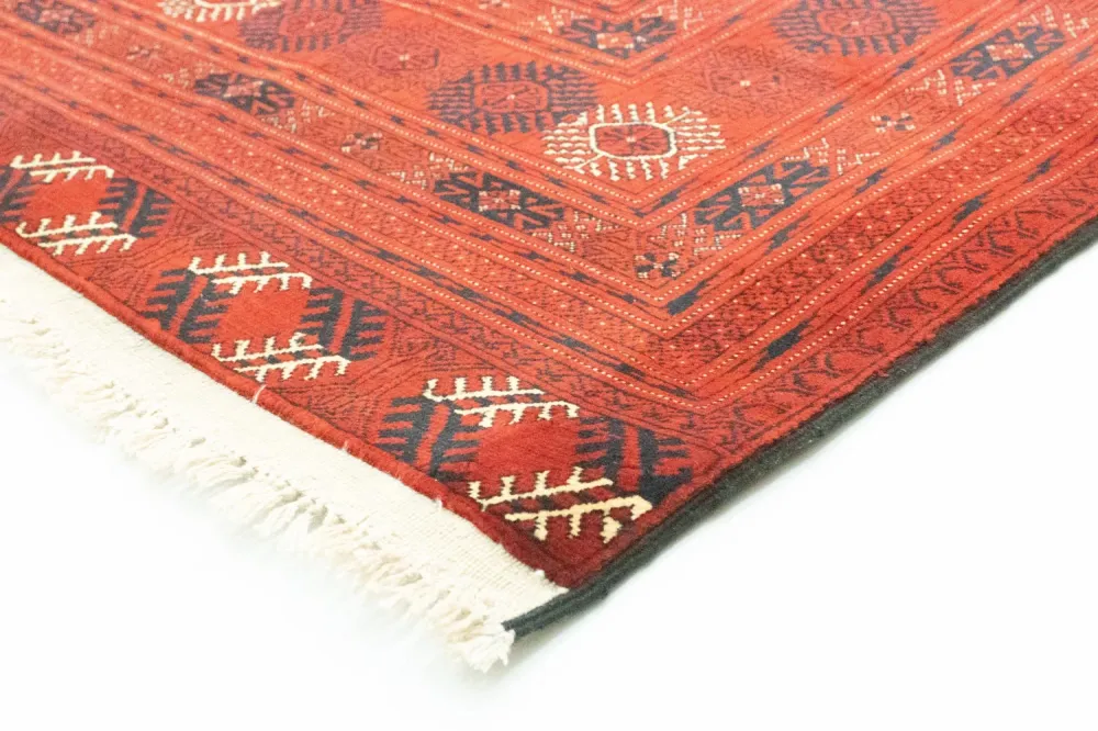 Afghansk teppe - Bukhara - 295 x 192 cm - mørk brun