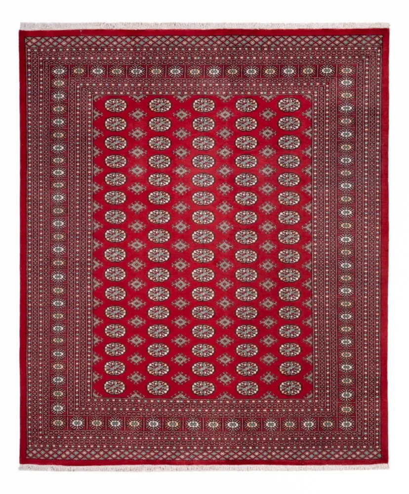 Afghansk teppe - Bukhara - 296 x 250 cm - rød