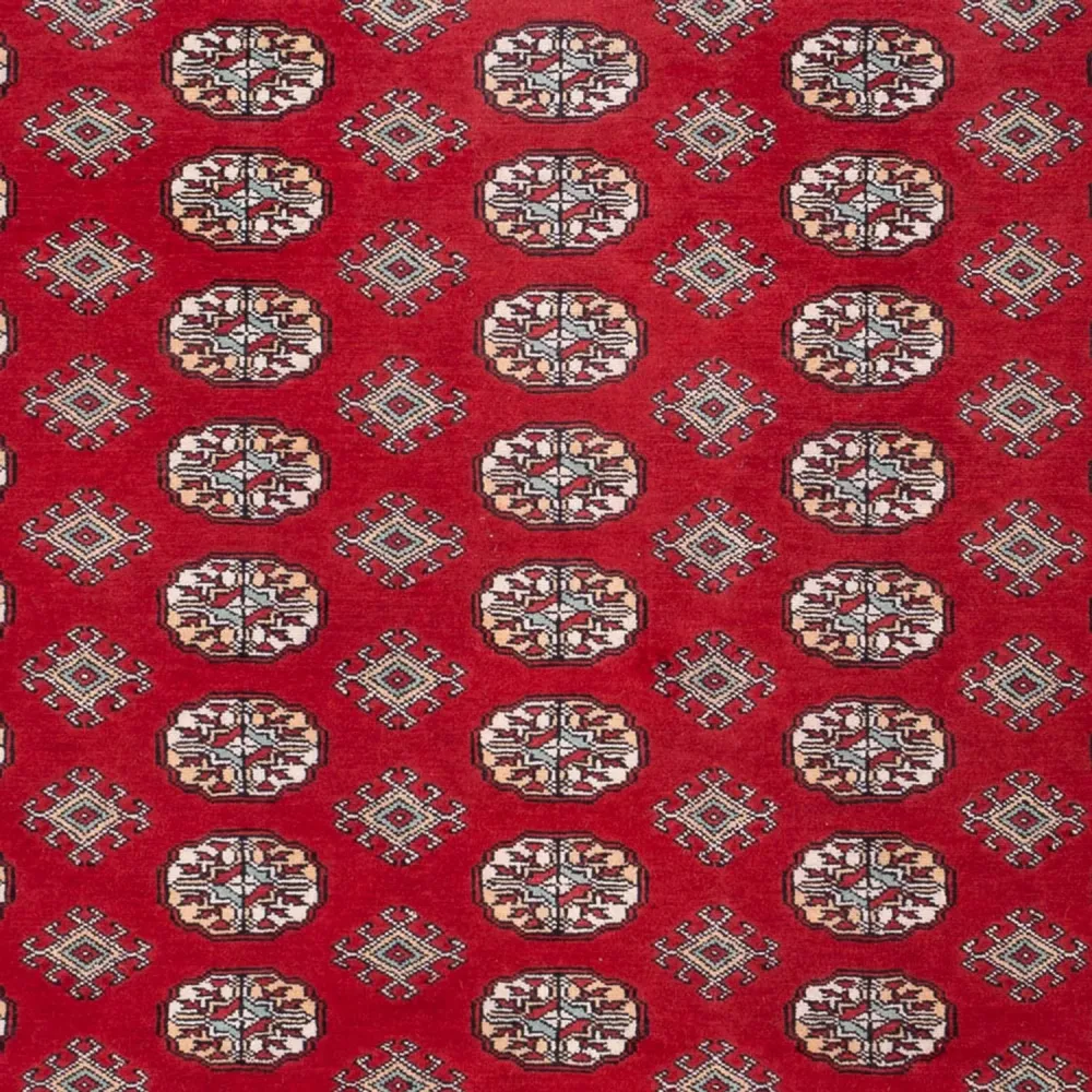 Afghansk teppe - Bukhara - 296 x 250 cm - rød