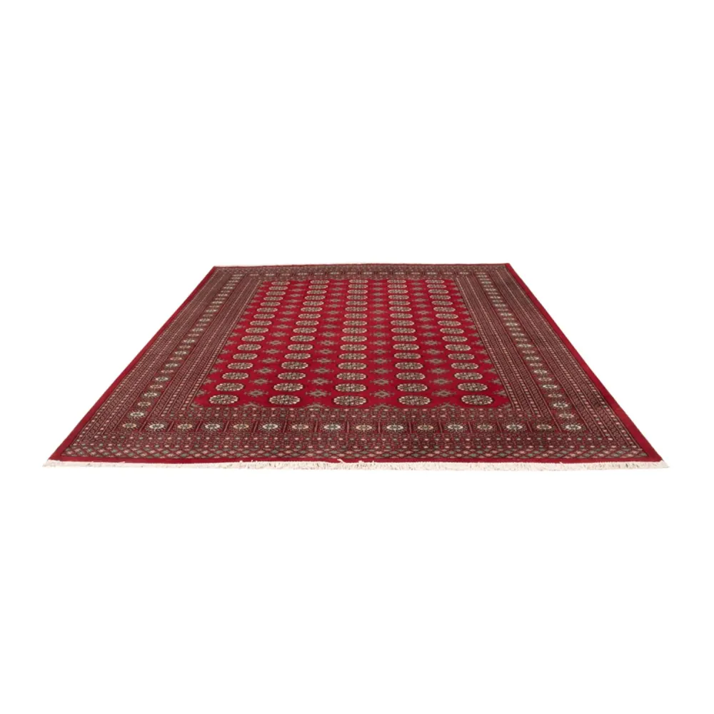 Afghansk teppe - Bukhara - 296 x 250 cm - rød