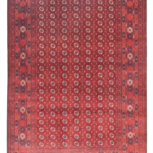 Afghansk teppe - Bukhara - 297 x 198 cm - mørk brun