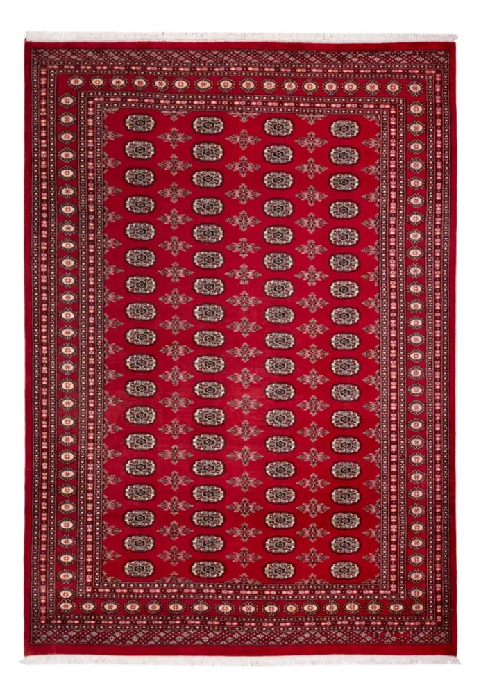 Afghansk teppe - Bukhara - 297 x 213 cm - rød