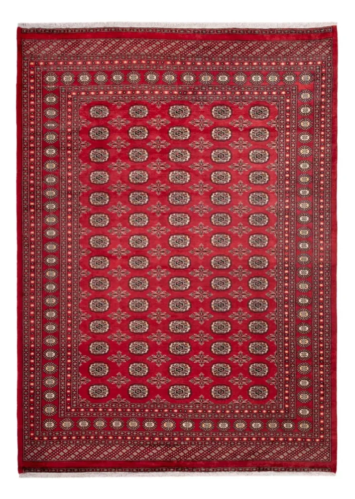 Afghansk teppe - Bukhara - 297 x 220 cm - rød