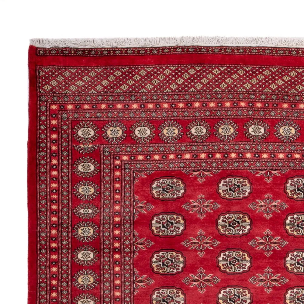 Afghansk teppe - Bukhara - 297 x 220 cm - rød
