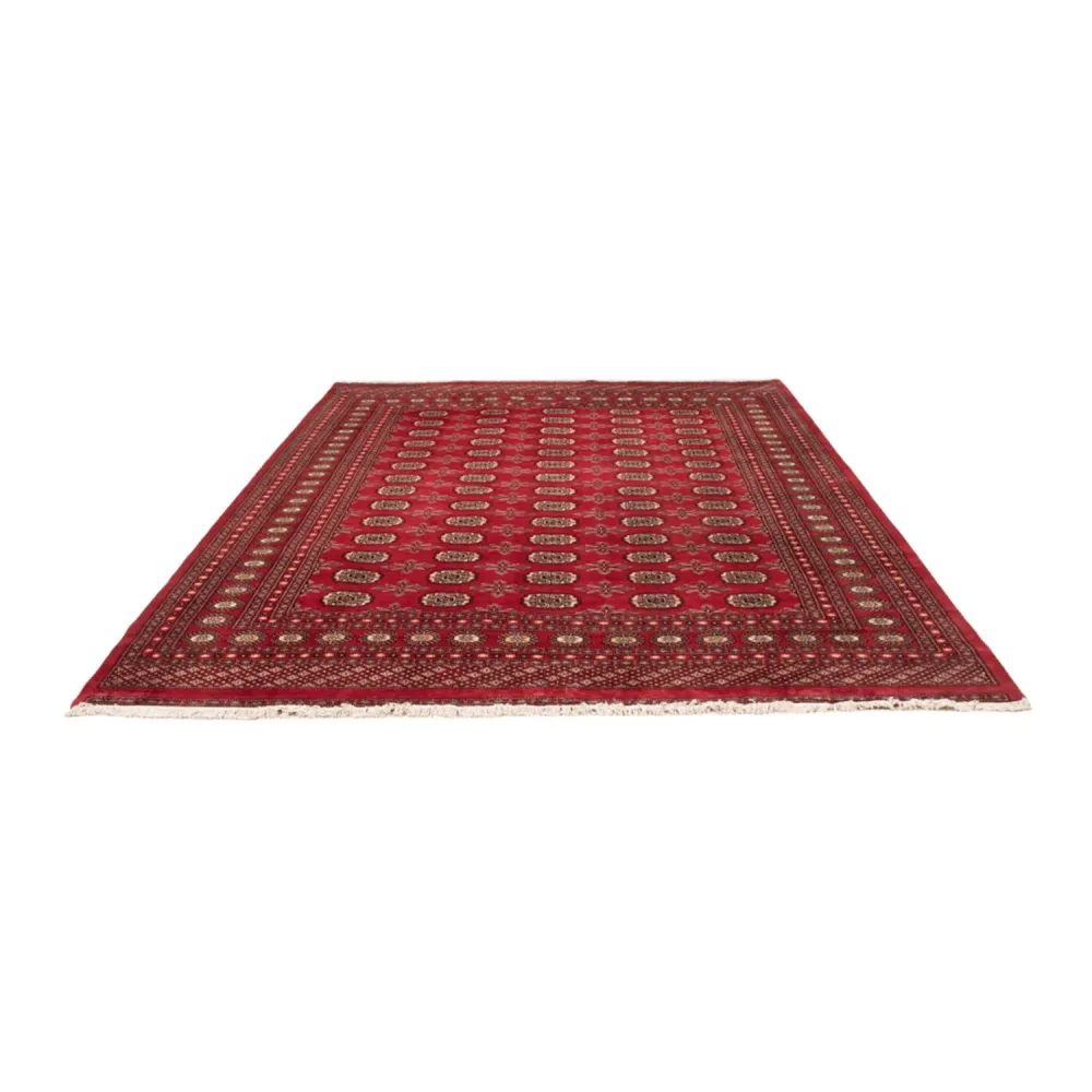 Afghansk teppe - Bukhara - 297 x 220 cm - rød