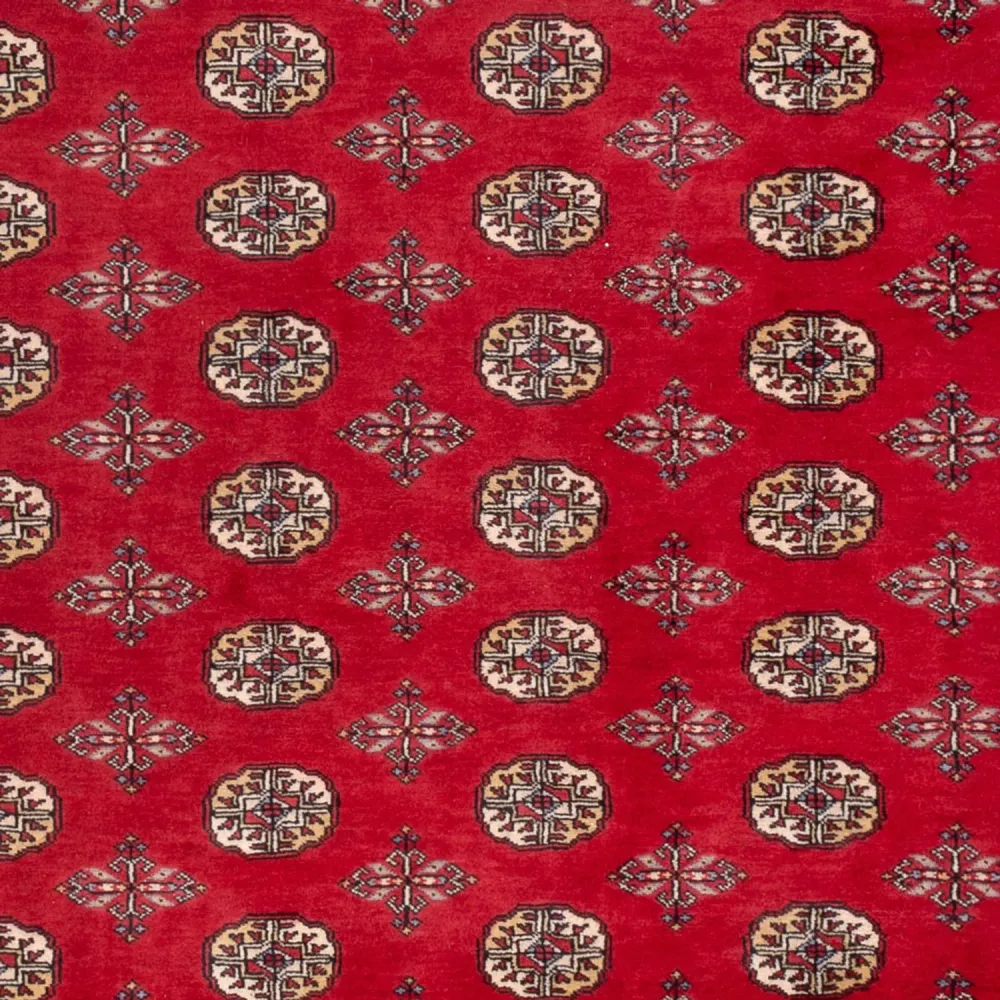 Afghansk teppe - Bukhara - 298 x 198 cm - rød