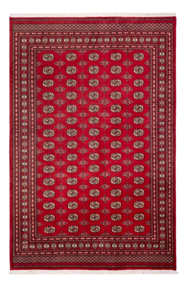Afghansk teppe - Bukhara - 298 x 198 cm - rød