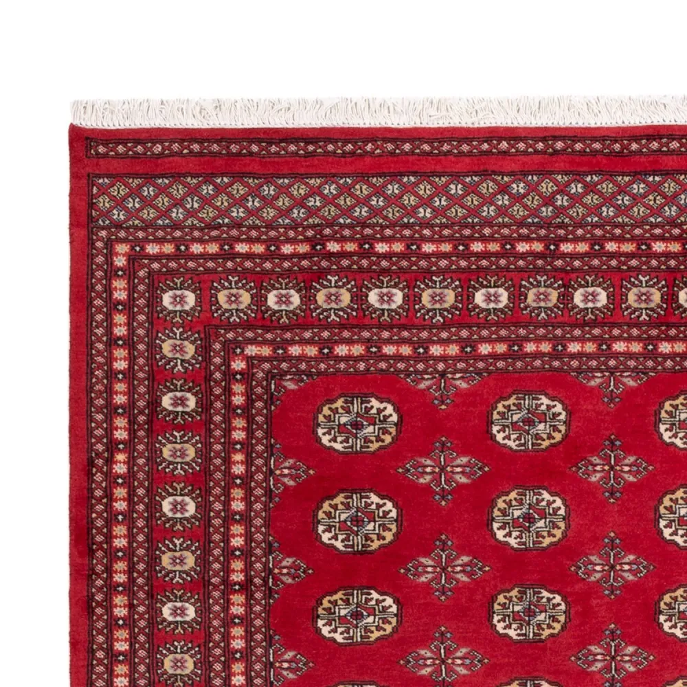 Afghansk teppe - Bukhara - 298 x 198 cm - rød