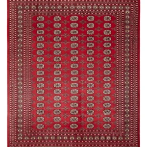 Afghansk teppe - Bukhara - 298 x 243 cm - rød