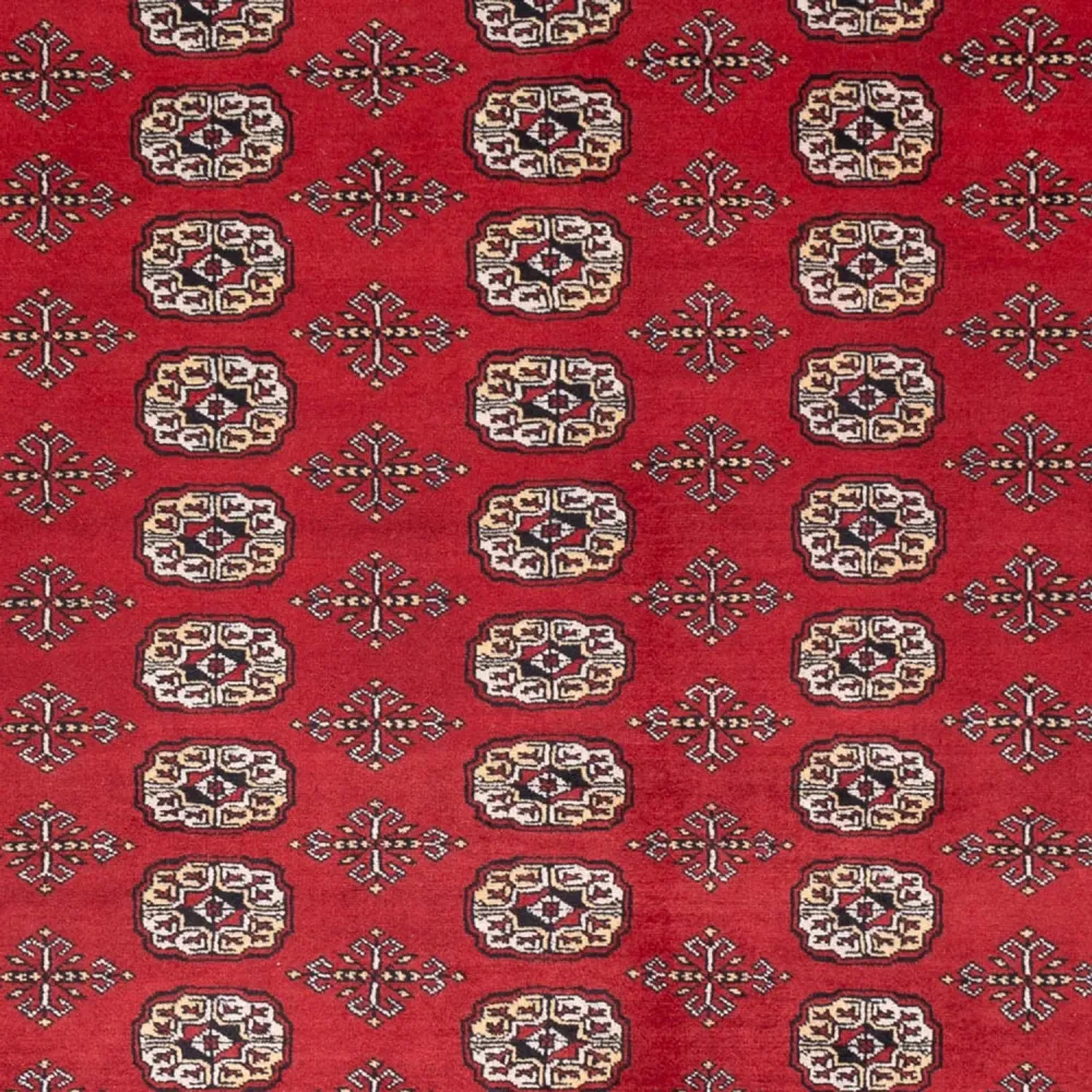 Afghansk teppe - Bukhara - 298 x 243 cm - rød