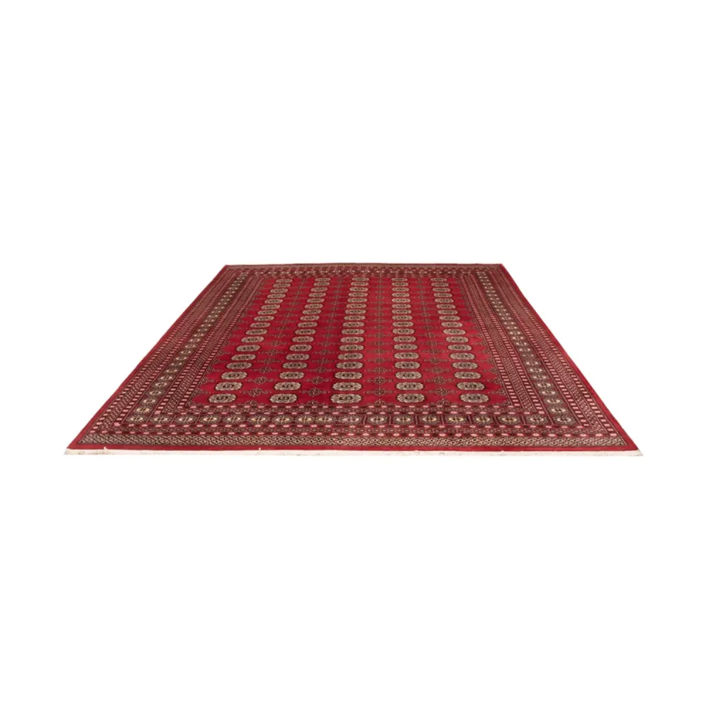 Afghansk teppe - Bukhara - 298 x 243 cm - rød