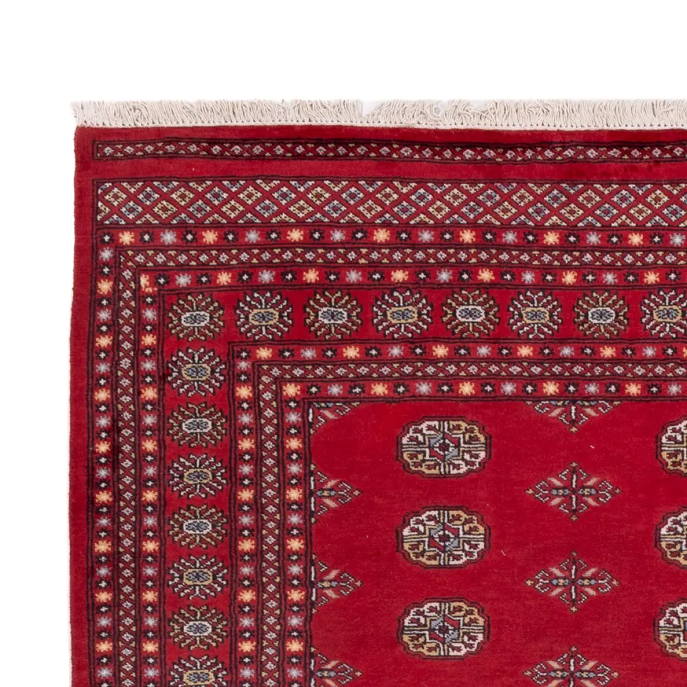 Afghansk teppe - Bukhara - 300 x 201 cm - rød