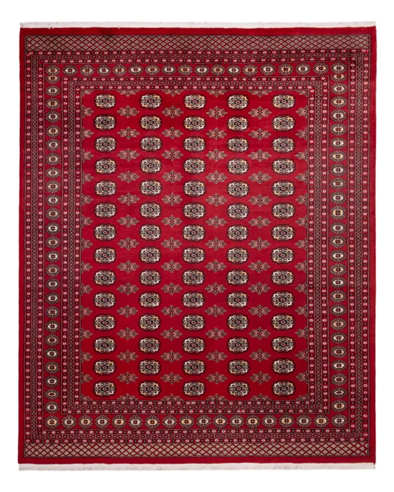 Afghansk teppe - Bukhara - 301 x 245 cm - rød
