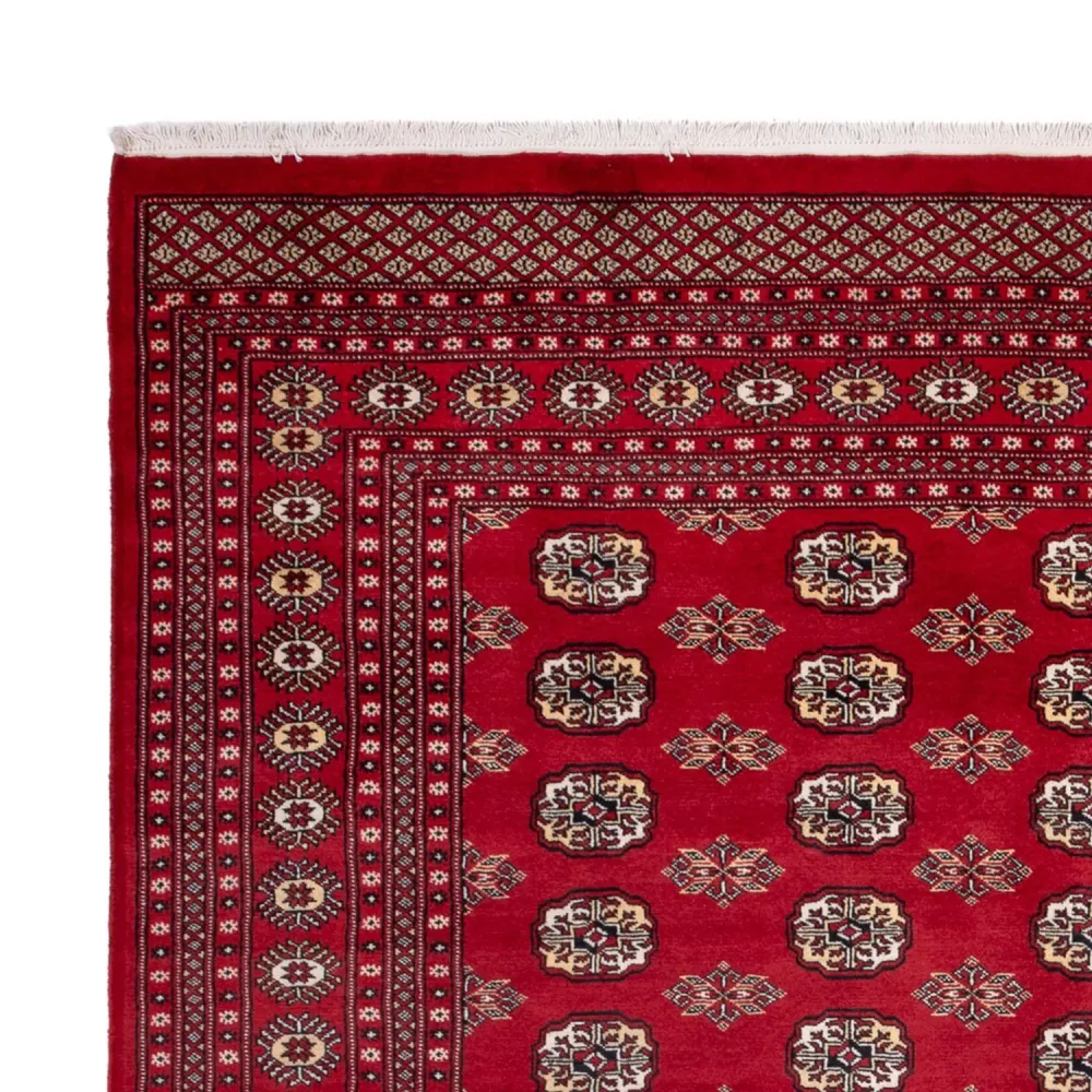 Afghansk teppe - Bukhara - 301 x 245 cm - rød