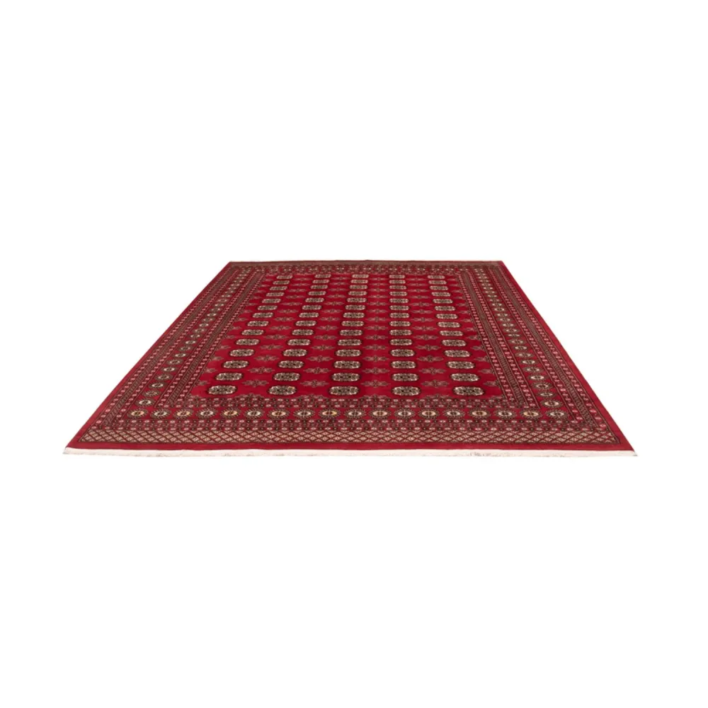 Afghansk teppe - Bukhara - 301 x 245 cm - rød