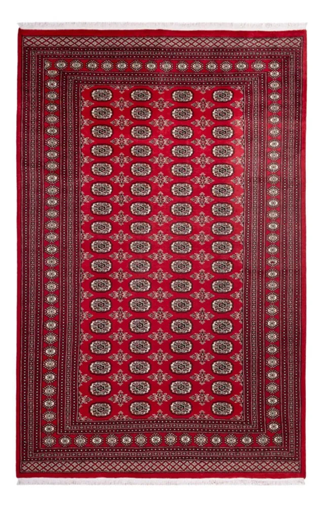 Afghansk teppe - Bukhara - 302 x 199 cm - rød