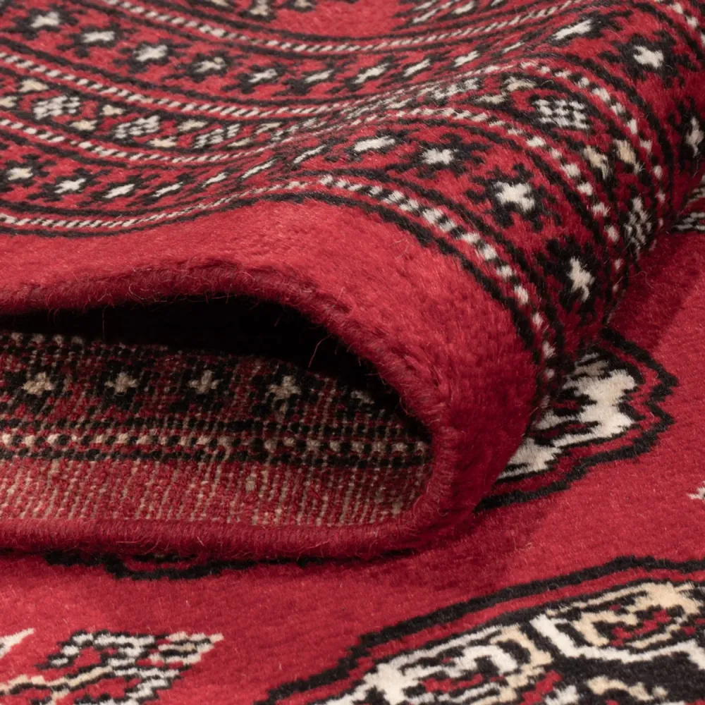 Afghansk teppe - Bukhara - 302 x 199 cm - rød