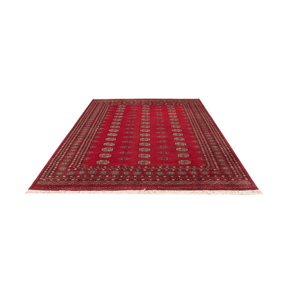Afghansk teppe - Bukhara - 302 x 202 cm - rød