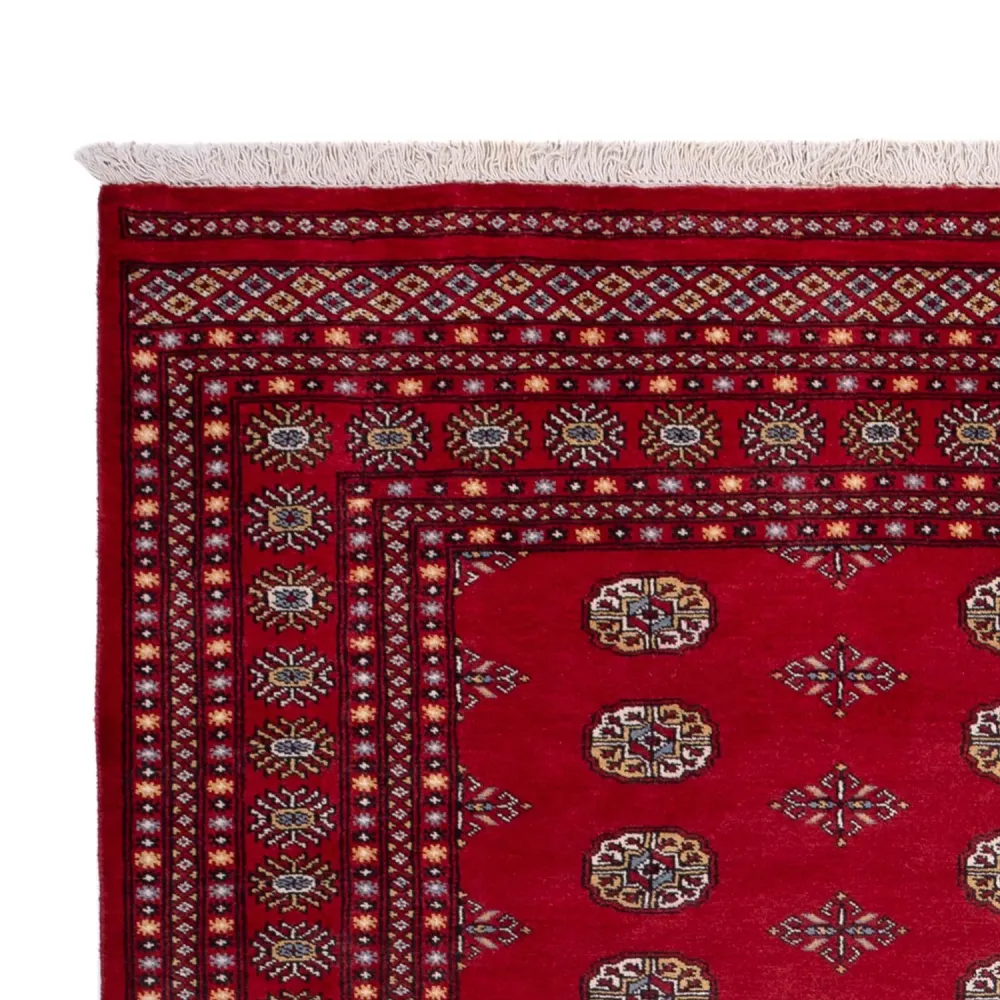 Afghansk teppe - Bukhara - 302 x 202 cm - rød