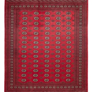 Afghansk teppe - Bukhara - 305 x 246 cm - rød