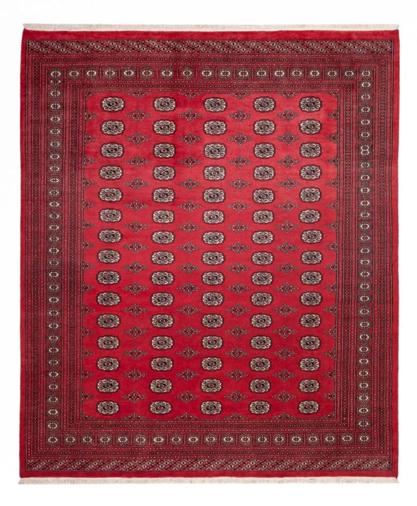 Afghansk teppe - Bukhara - 305 x 246 cm - rød