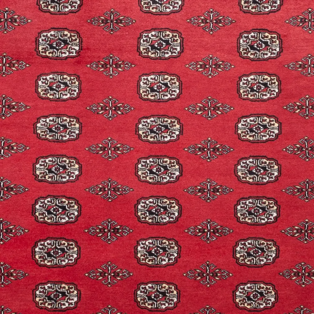 Afghansk teppe - Bukhara - 305 x 246 cm - rød