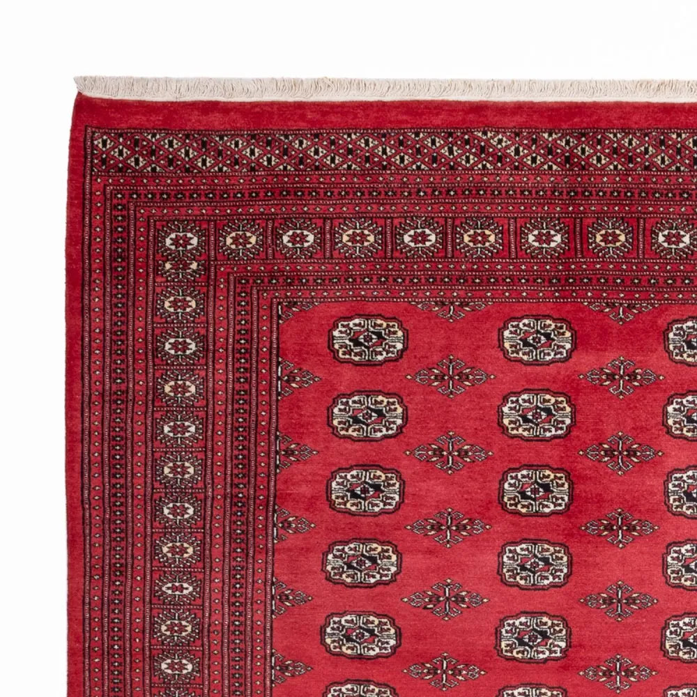 Afghansk teppe - Bukhara - 305 x 246 cm - rød