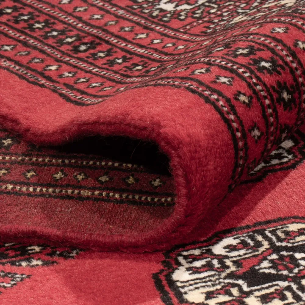 Afghansk teppe - Bukhara - 305 x 246 cm - rød