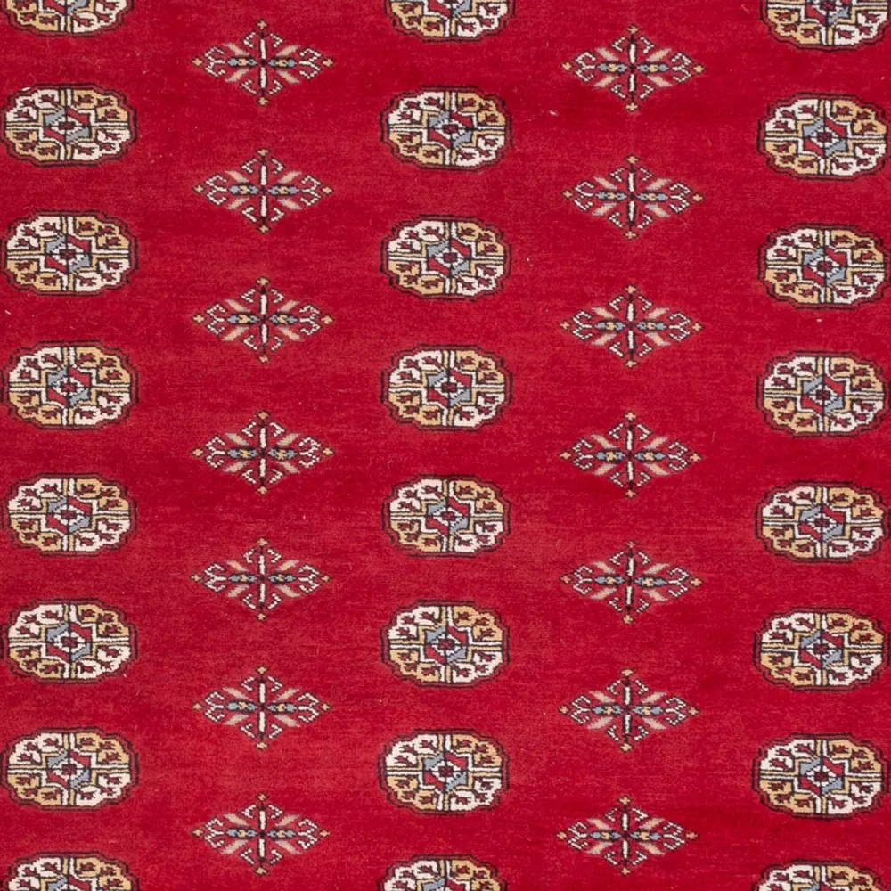 Afghansk teppe - Bukhara - 307 x 201 cm - rød