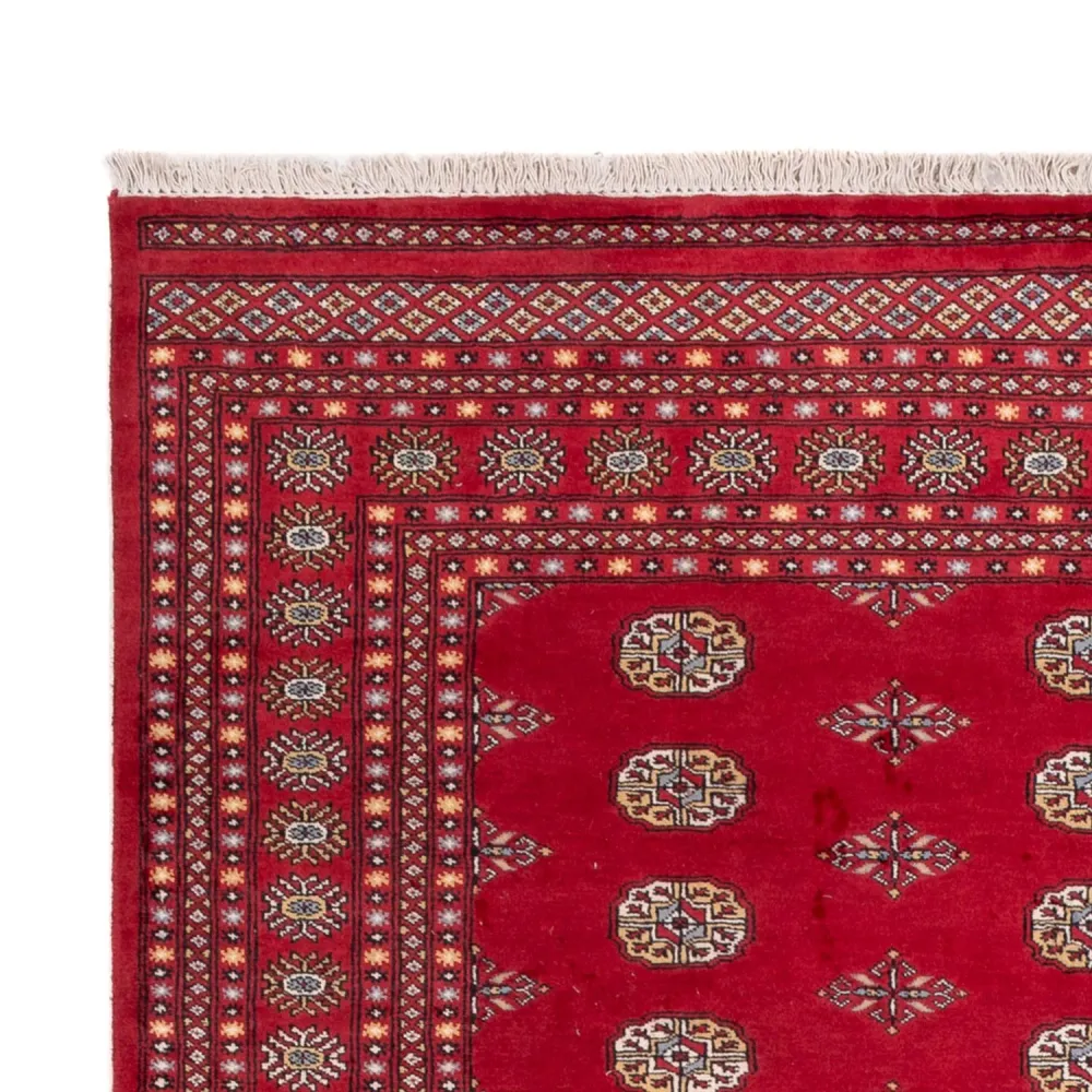 Afghansk teppe - Bukhara - 307 x 201 cm - rød