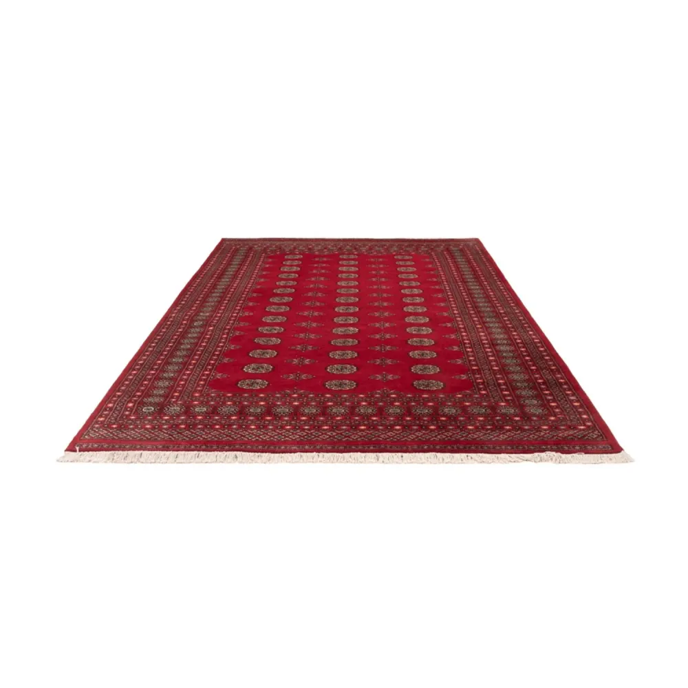 Afghansk teppe - Bukhara - 307 x 202 cm - rød