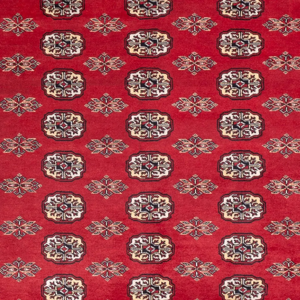 Afghansk teppe - Bukhara - 307 x 247 cm - rød