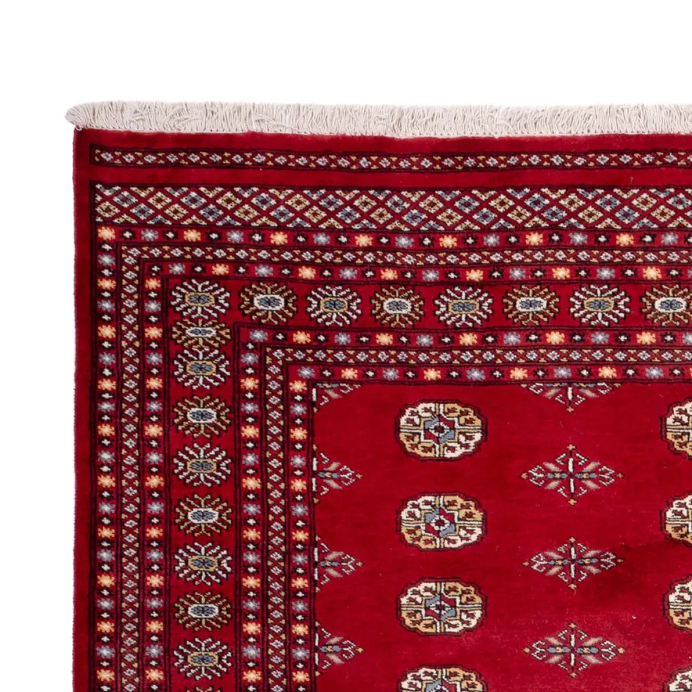 Afghansk teppe - Bukhara - 308 x 207 cm - rød