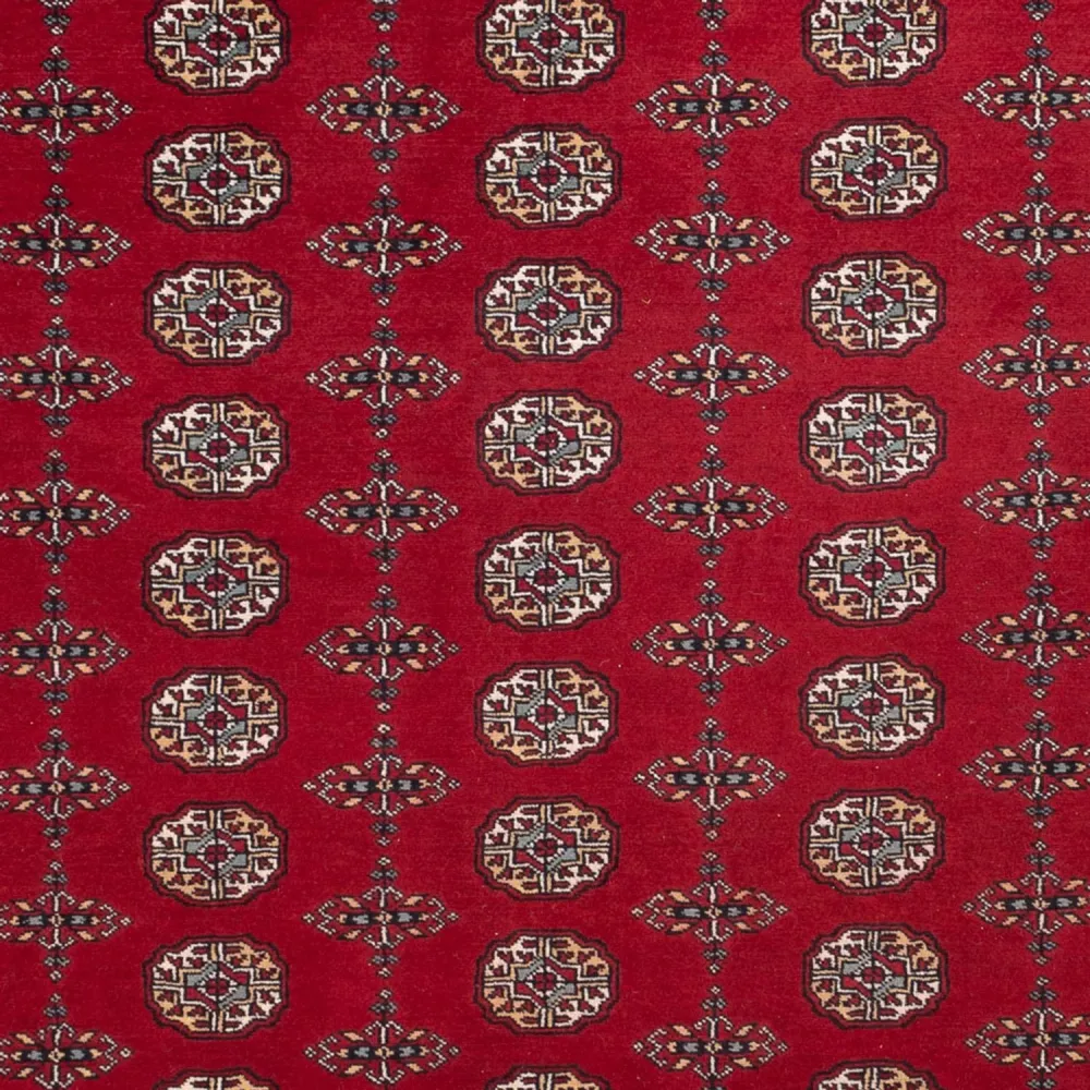 Afghansk teppe - Bukhara - 309 x 246 cm - rød