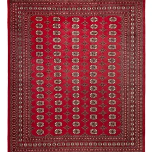 Afghansk teppe - Bukhara - 309 x 248 cm - rød