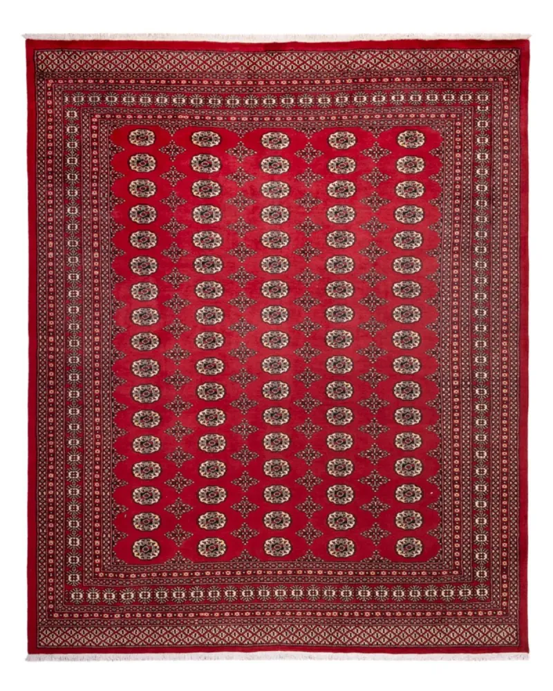 Afghansk teppe - Bukhara - 309 x 248 cm - rød