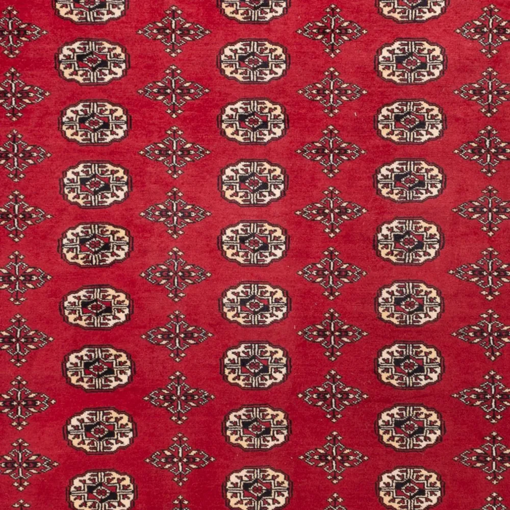 Afghansk teppe - Bukhara - 309 x 248 cm - rød