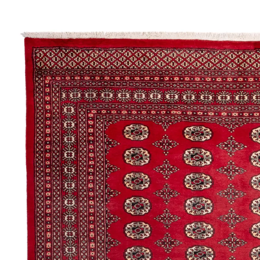 Afghansk teppe - Bukhara - 309 x 248 cm - rød